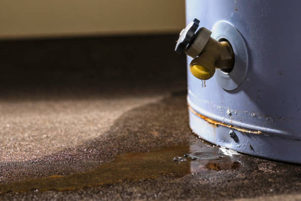 Best Professional water damage repair  in Lake Waccamaw, NC