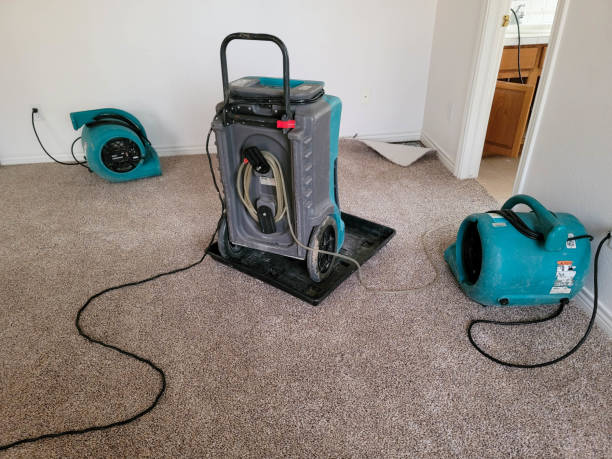 Sewage cleanup and water damage restoration in NC