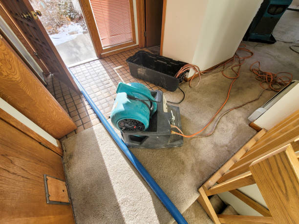 Best Emergency water damage restoration  in Lake Waccamaw, NC