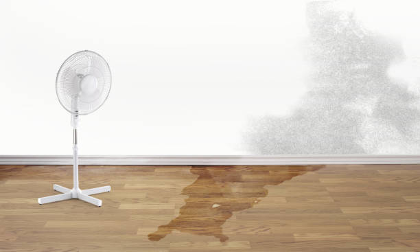 Best Water damage restoration near me  in Lake Waccamaw, NC