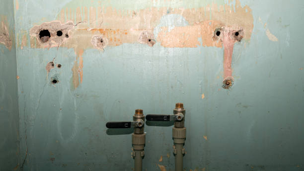 Water damage restoration mold remediation in NC