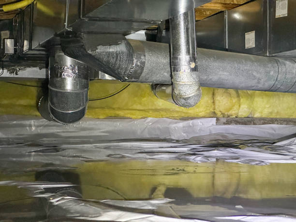 Best Flooded house restoration  in Lake Waccamaw, NC